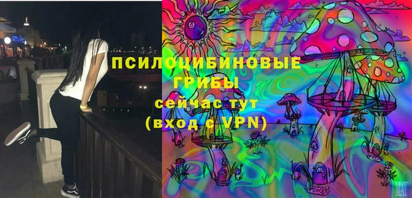 мяу мяу мука Карталы